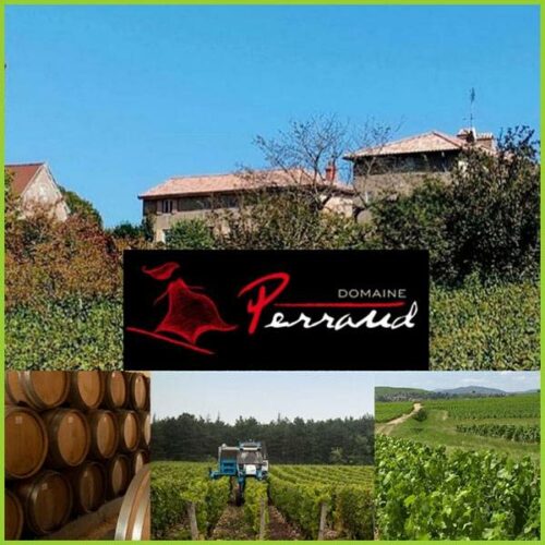 Domaine Jean Christophe Perraud